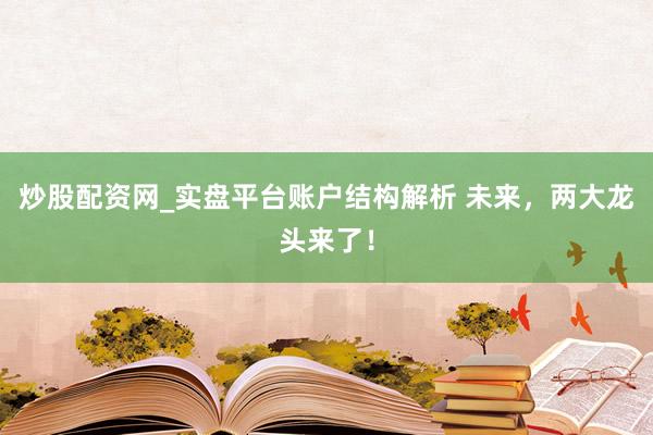炒股配资网_实盘平台账户结构解析 未来，两大龙头来了！