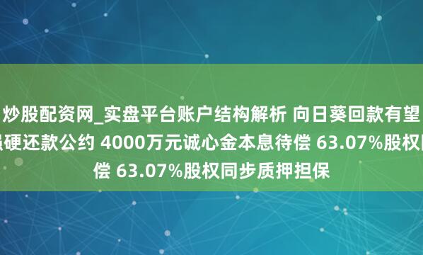 炒股配资网_实盘平台账户结构解析 向日葵回款有望：上海兮噗强硬还款公约 4000万元诚心金本息待偿 63.07%股权同步质押担保