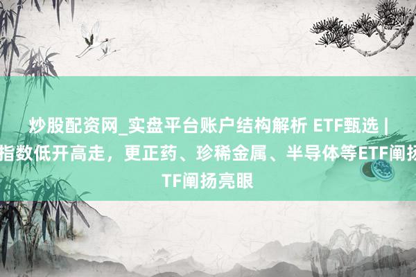 炒股配资网_实盘平台账户结构解析 ETF甄选 | 三大指数低开高走，更正药、珍稀金属、半导体等ETF阐扬亮眼