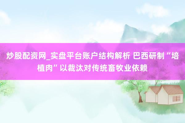 炒股配资网_实盘平台账户结构解析 巴西研制“培植肉”以裁汰对传统畜牧业依赖