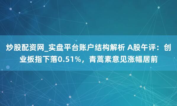 炒股配资网_实盘平台账户结构解析 A股午评：创业板指下落0.51%，青蒿素意见涨幅居前
