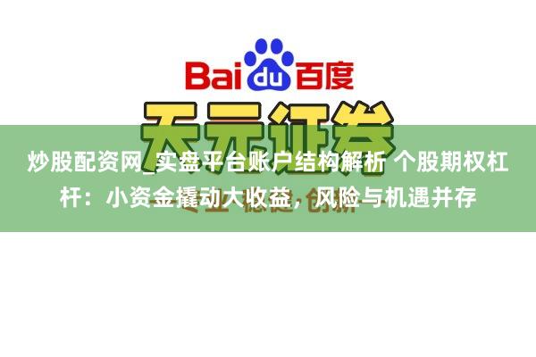 炒股配资网_实盘平台账户结构解析 个股期权杠杆：小资金撬动大收益，风险与机遇并存