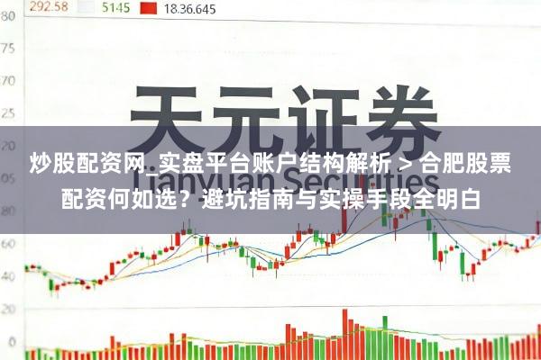 炒股配资网_实盘平台账户结构解析 > 合肥股票配资何如选？避坑指南与实操手段全明白